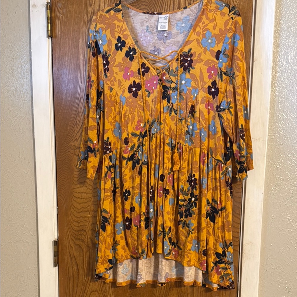 Terra & Sky Gold Embellished Tunic Blouse
